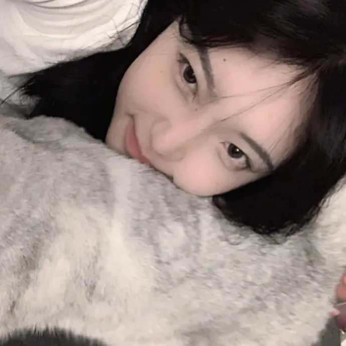纸板屋女孩